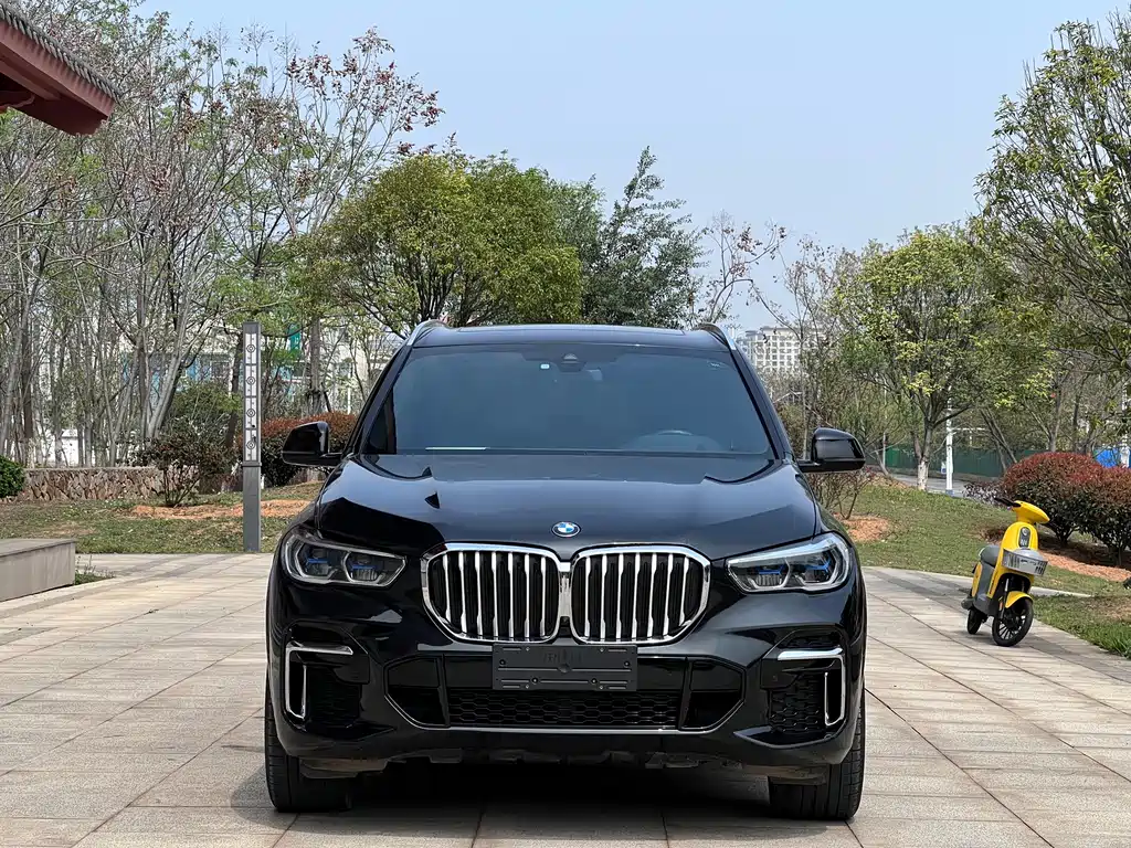 BMW X5 — миниатюра 2