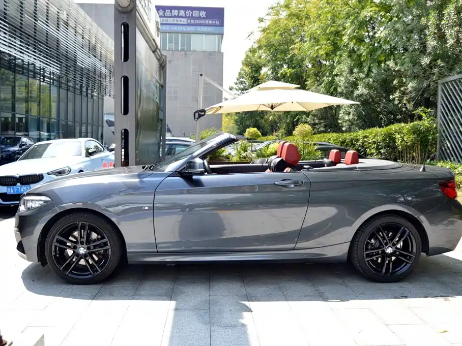 BMW 2 Series (Import) — миниатюра 3