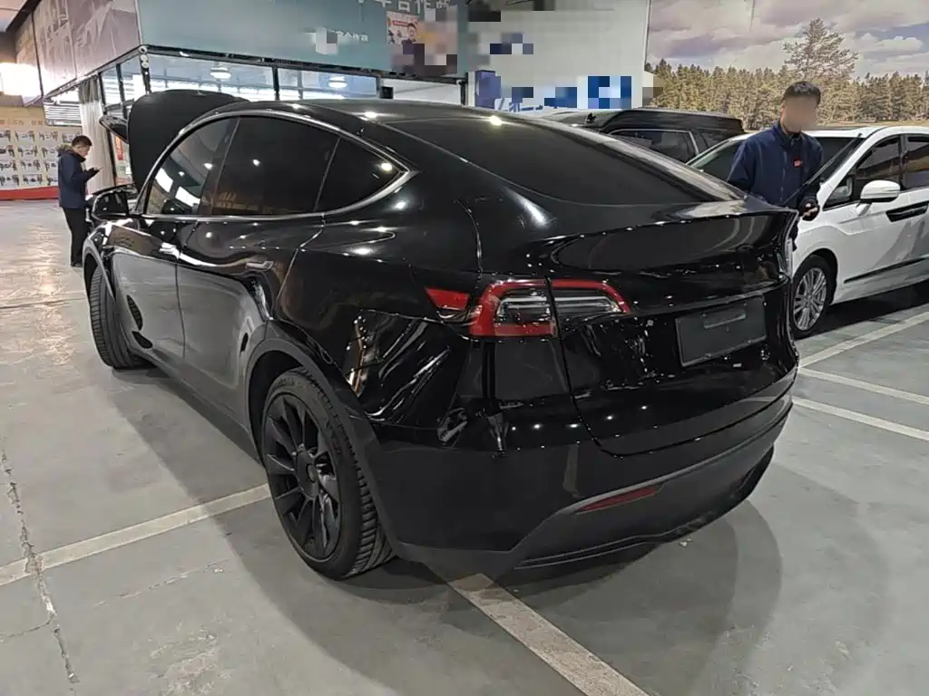 Tesla Model Y — миниатюра 5