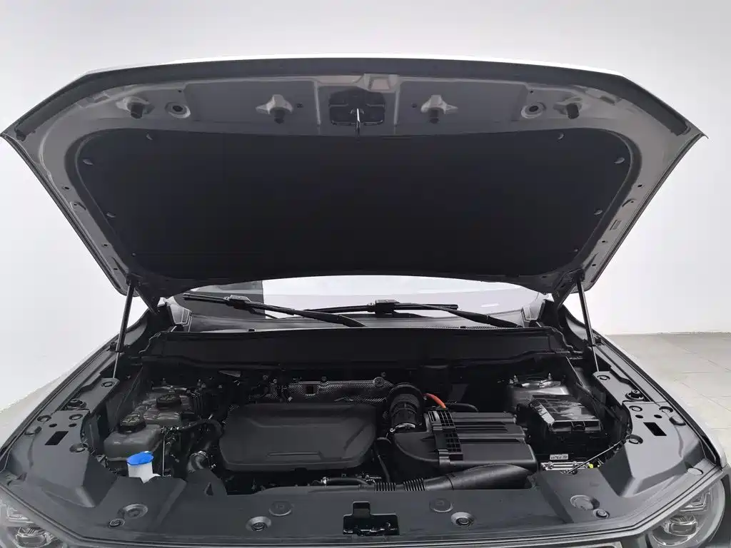 Haval Big Dog PLUS New Energy — миниатюра 6
