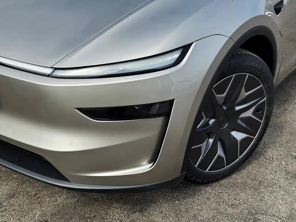Tesla Model Y L — миниатюра 4