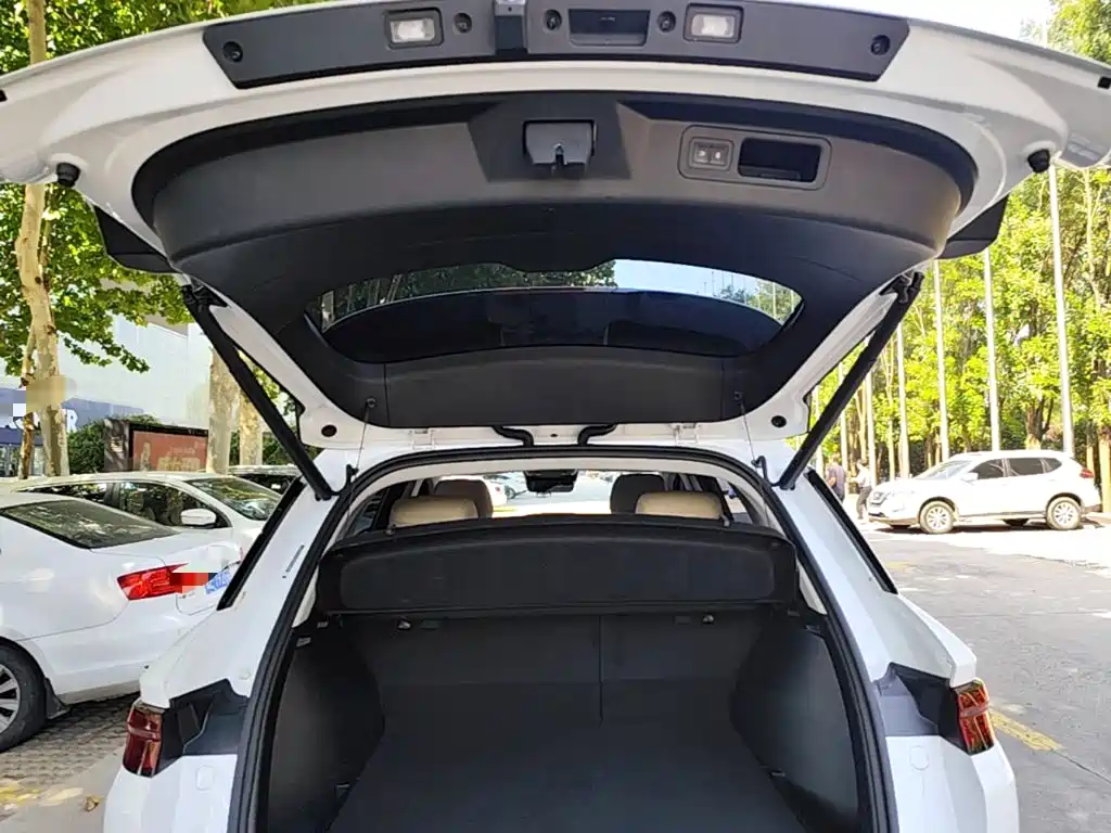 BYD Pro New Energy — миниатюра 19
