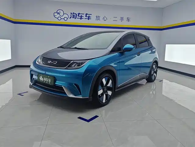 2022 BYD Dolphin