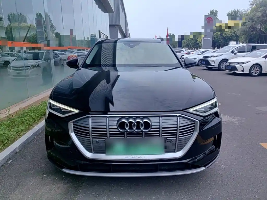Audi e-tron (Import) — миниатюра 3