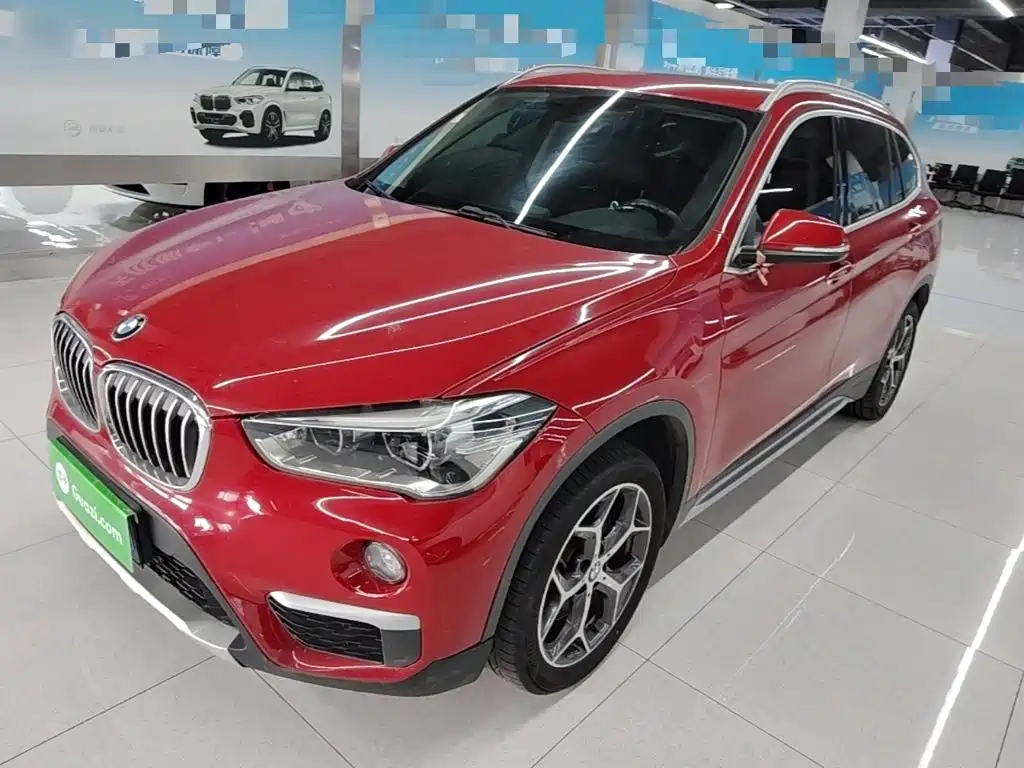 BMW X1 — миниатюра 2