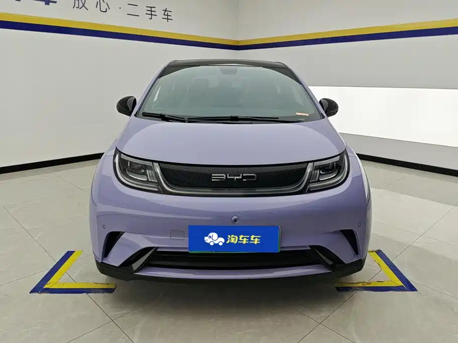 BYD Dolphin — миниатюра 2