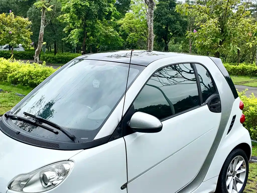 smart Smart Fortwo — миниатюра 31