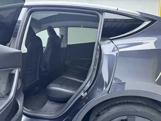 Tesla Model Y — миниатюра 8