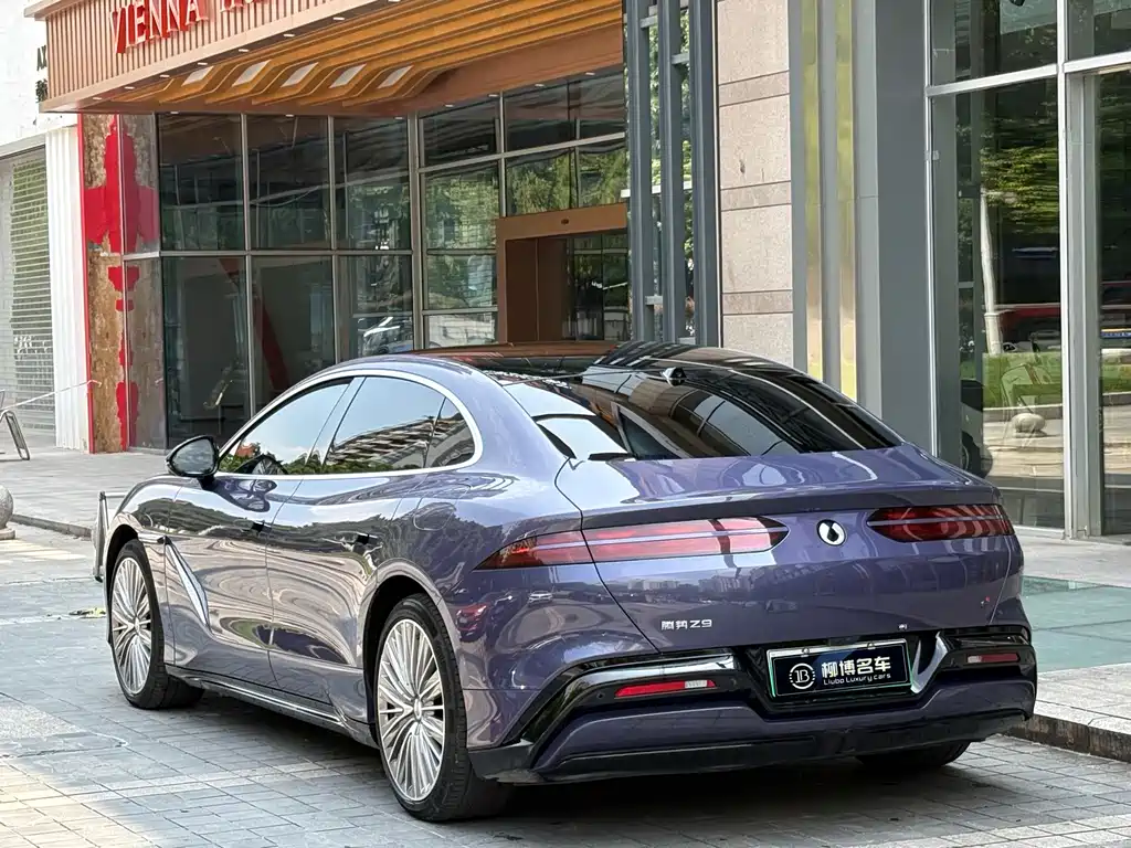 Denza Denza Z9 — миниатюра 4
