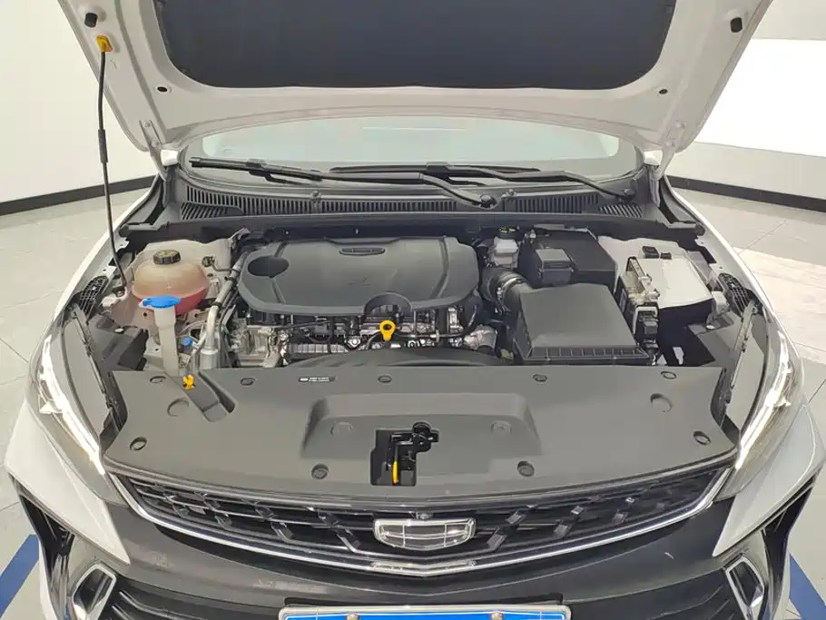 Geely Binrui — миниатюра 10