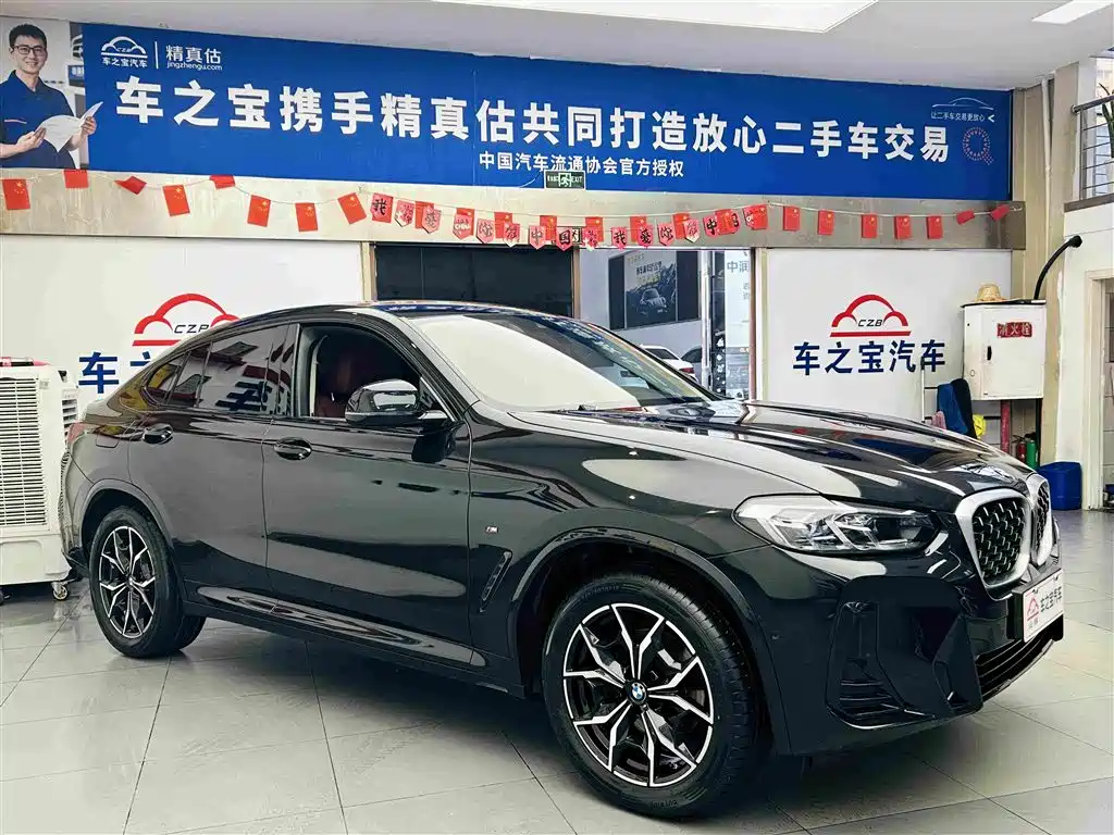 BMW X4 — миниатюра 4