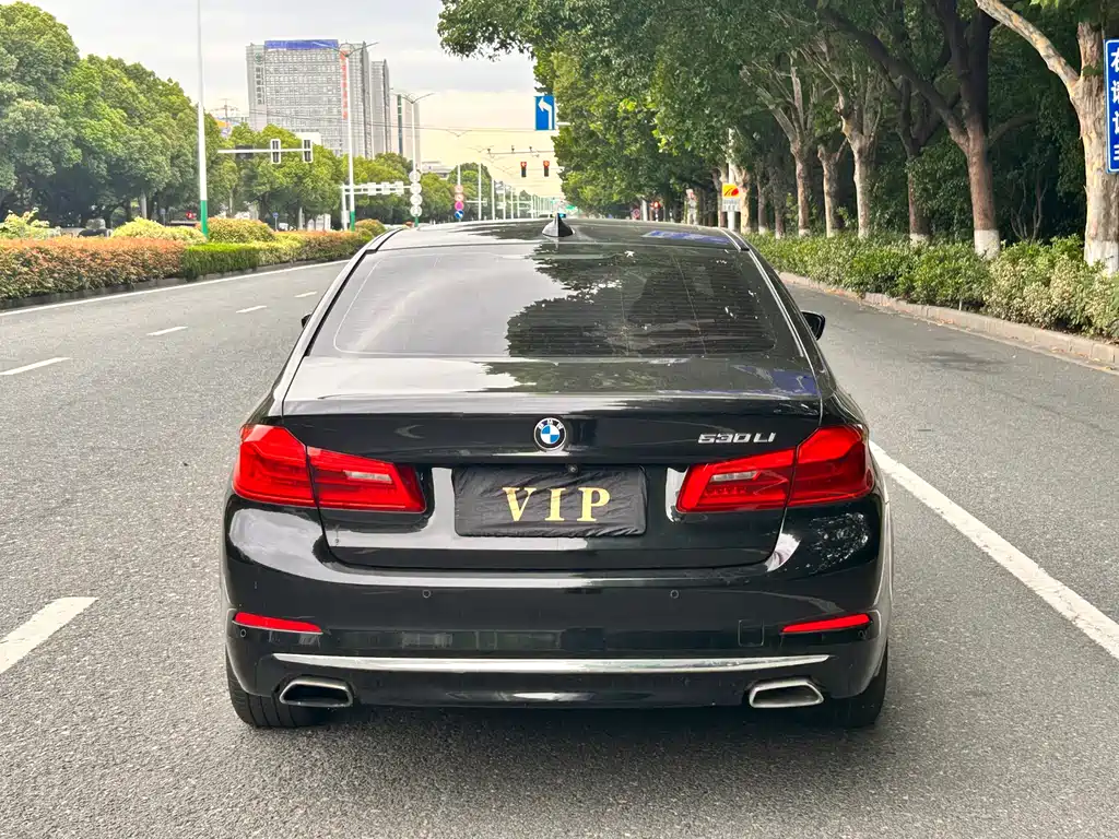 BMW 5 Series 5 2020 530Li Lead Luxury