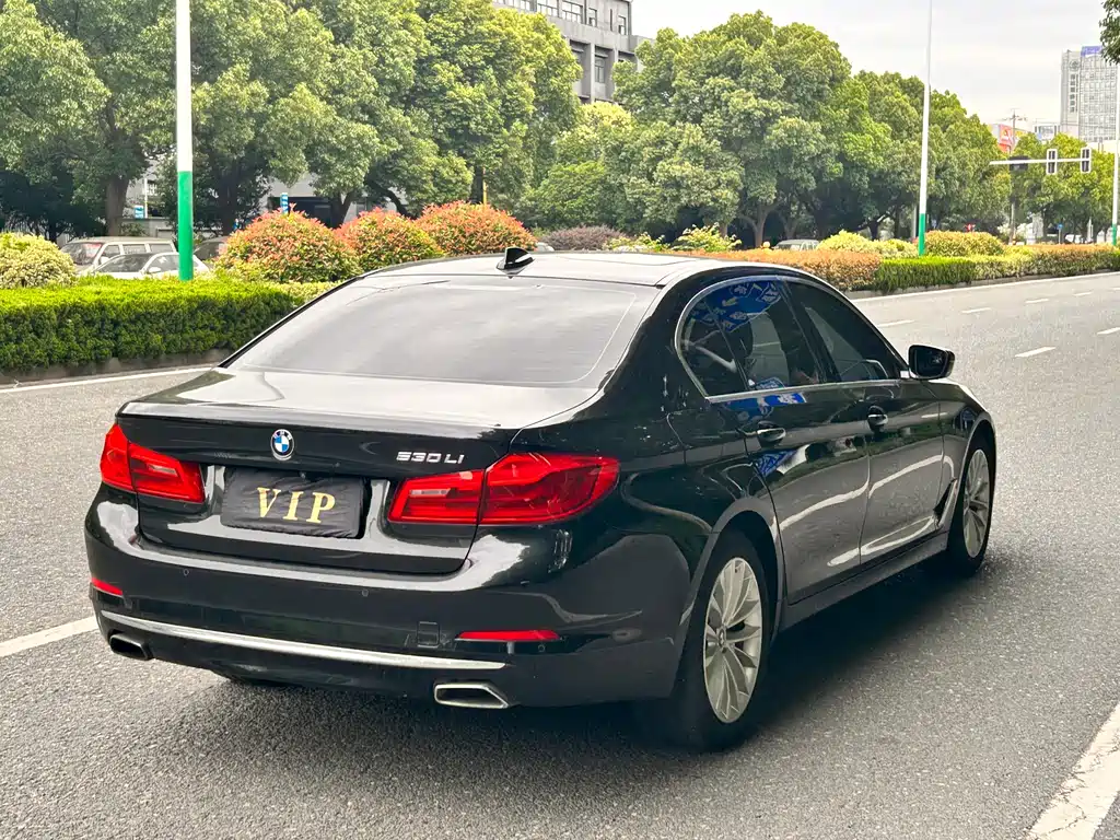 BMW 5 Series 5 2020 530Li Lead Luxury