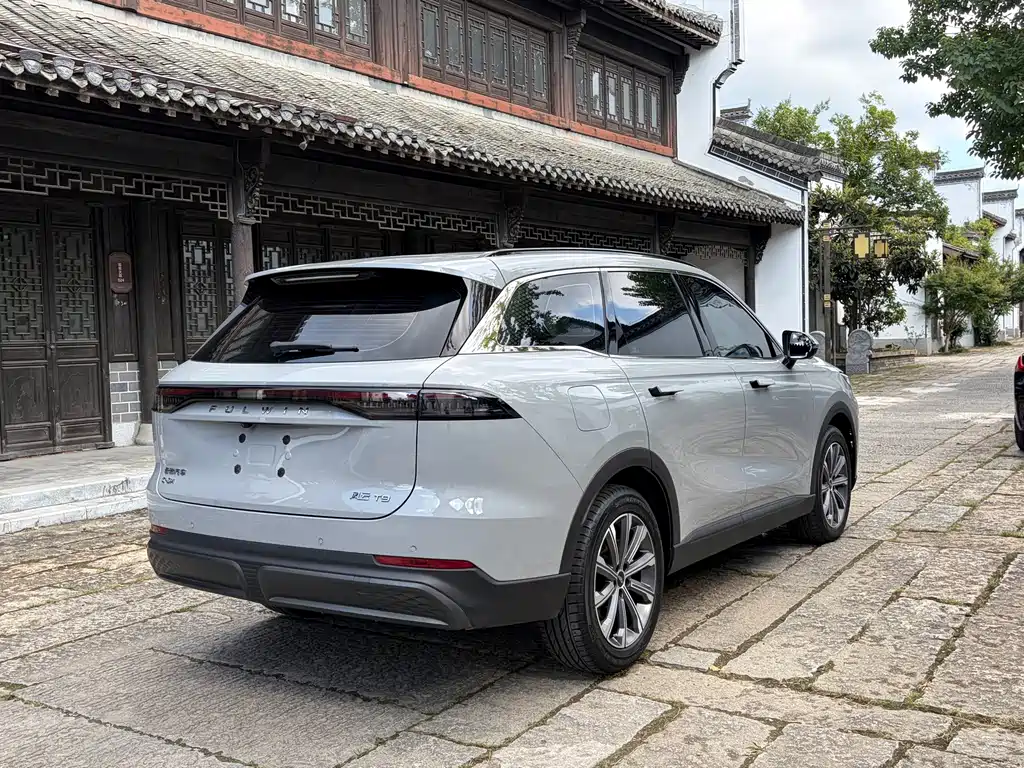 Fulwin Fengyun T9 — миниатюра 11