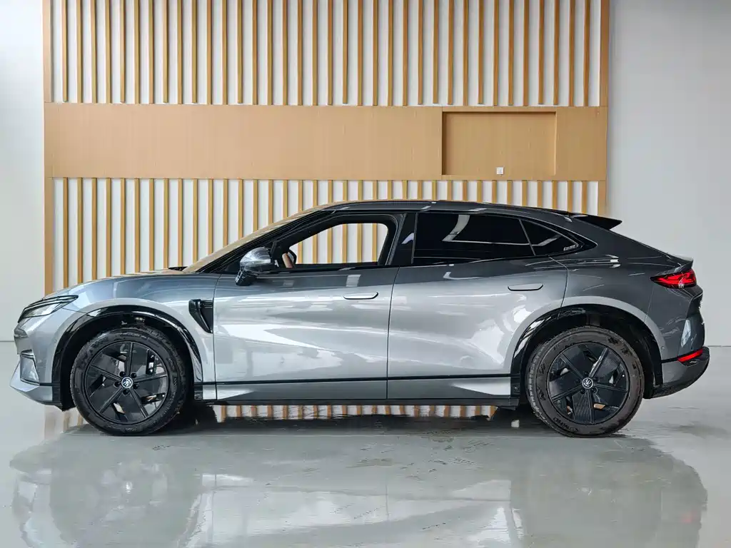 BYD L EV — миниатюра 9
