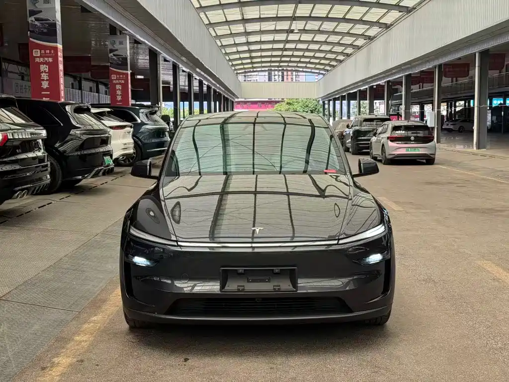 Tesla Model Y — миниатюра 2