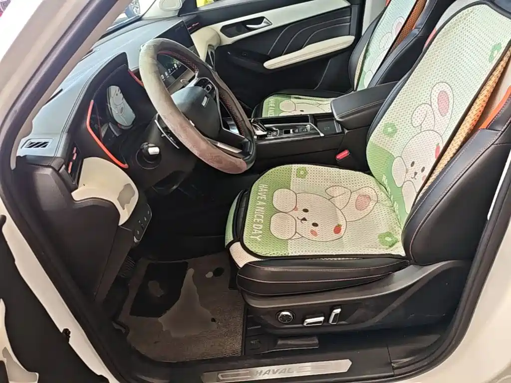 Haval Chitu — миниатюра 15