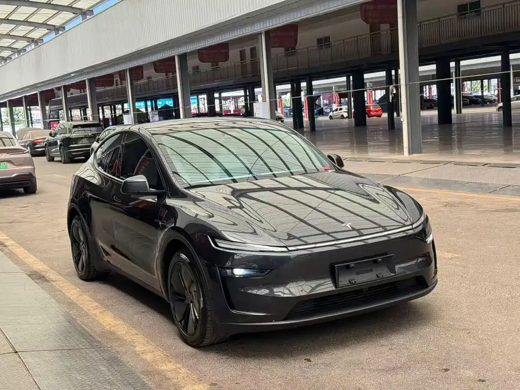 Tesla Model Y — миниатюра 3