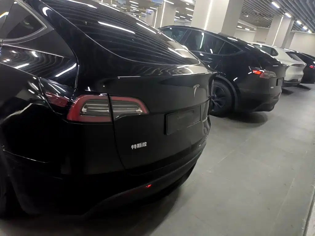 Tesla Model Y — миниатюра 6