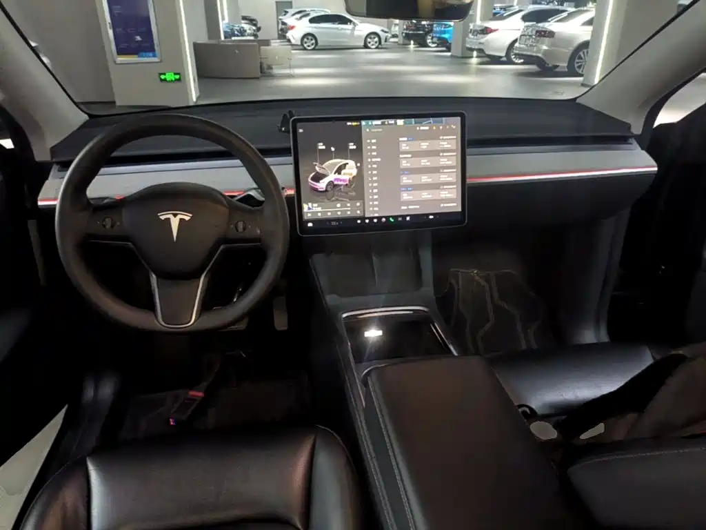Tesla Model Y — миниатюра 10