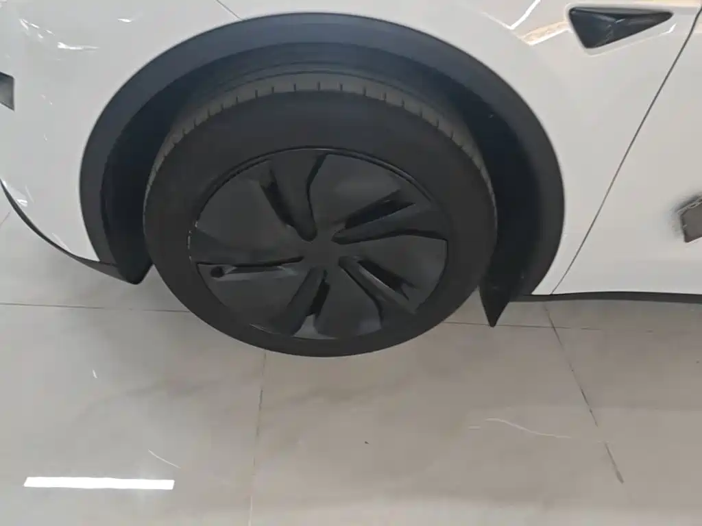 Tesla Model Y — миниатюра 23