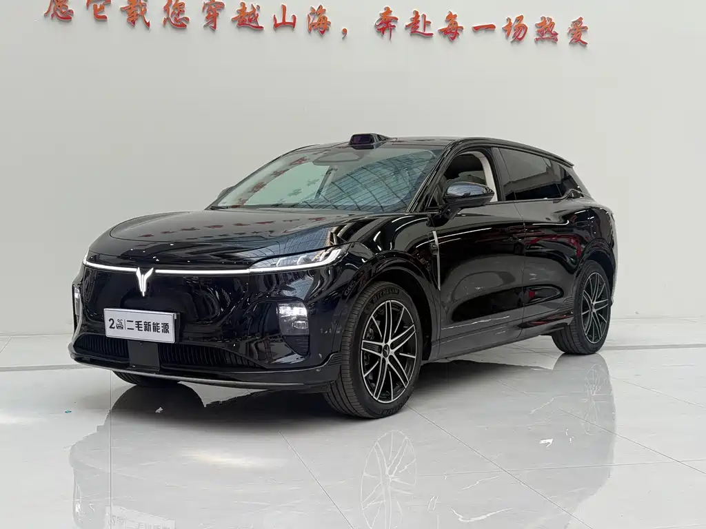 VOYAH Zhiyin