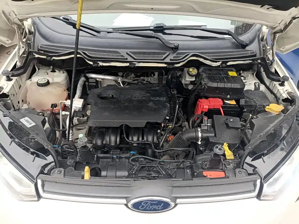 Ford Ecosport — миниатюра 20