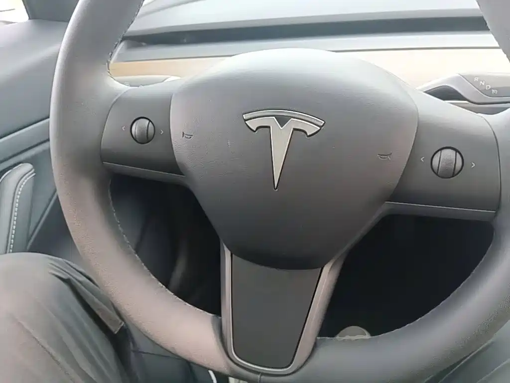 Tesla Model 3 — миниатюра 11