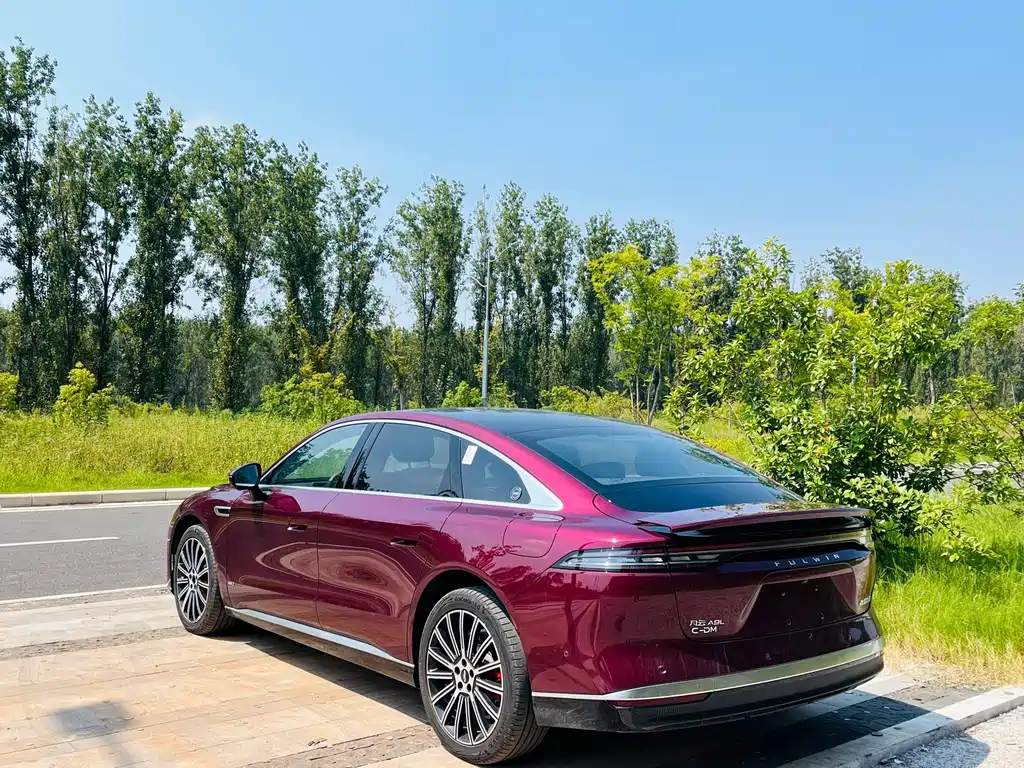 Fulwin Fengyun A9L — миниатюра 8