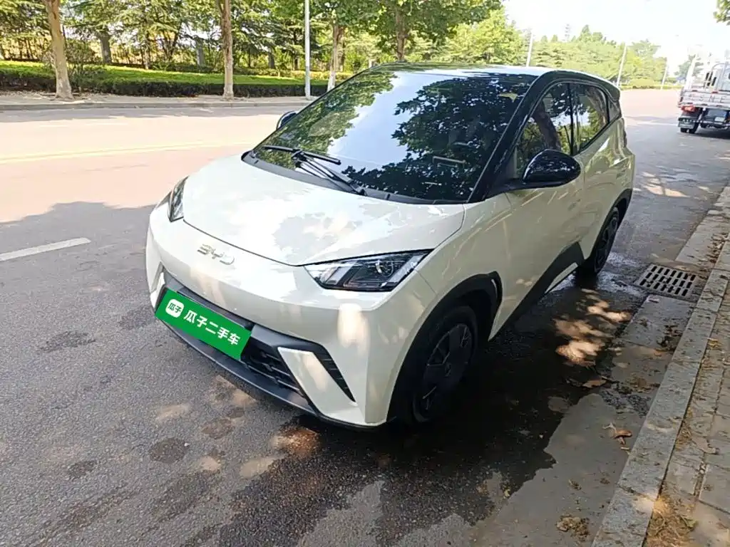 BYD Seagull 2025 305km