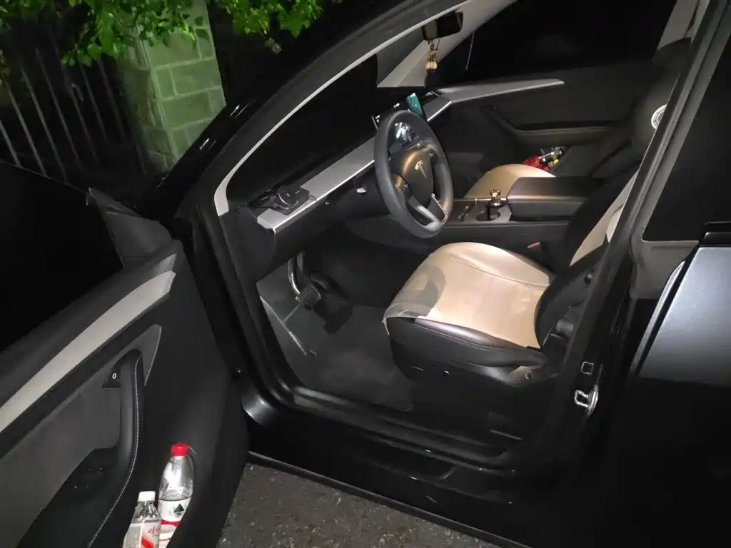 Tesla Model Y — миниатюра 12