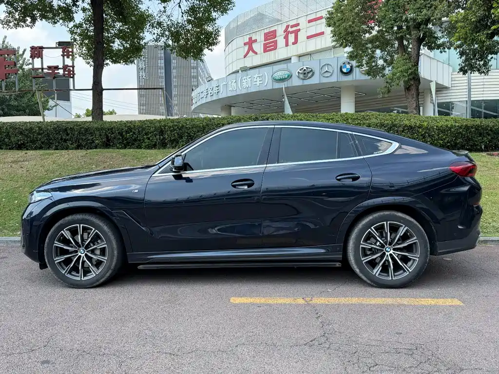 BMW X6 — миниатюра 3