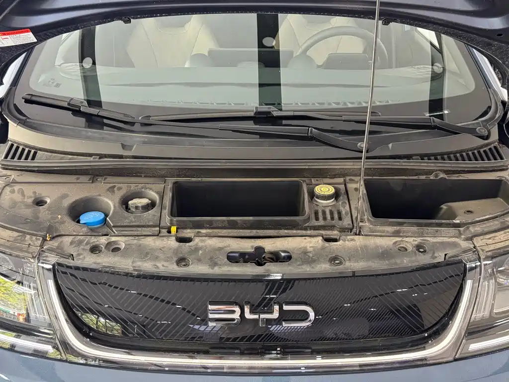BYD Dolphin — миниатюра 4