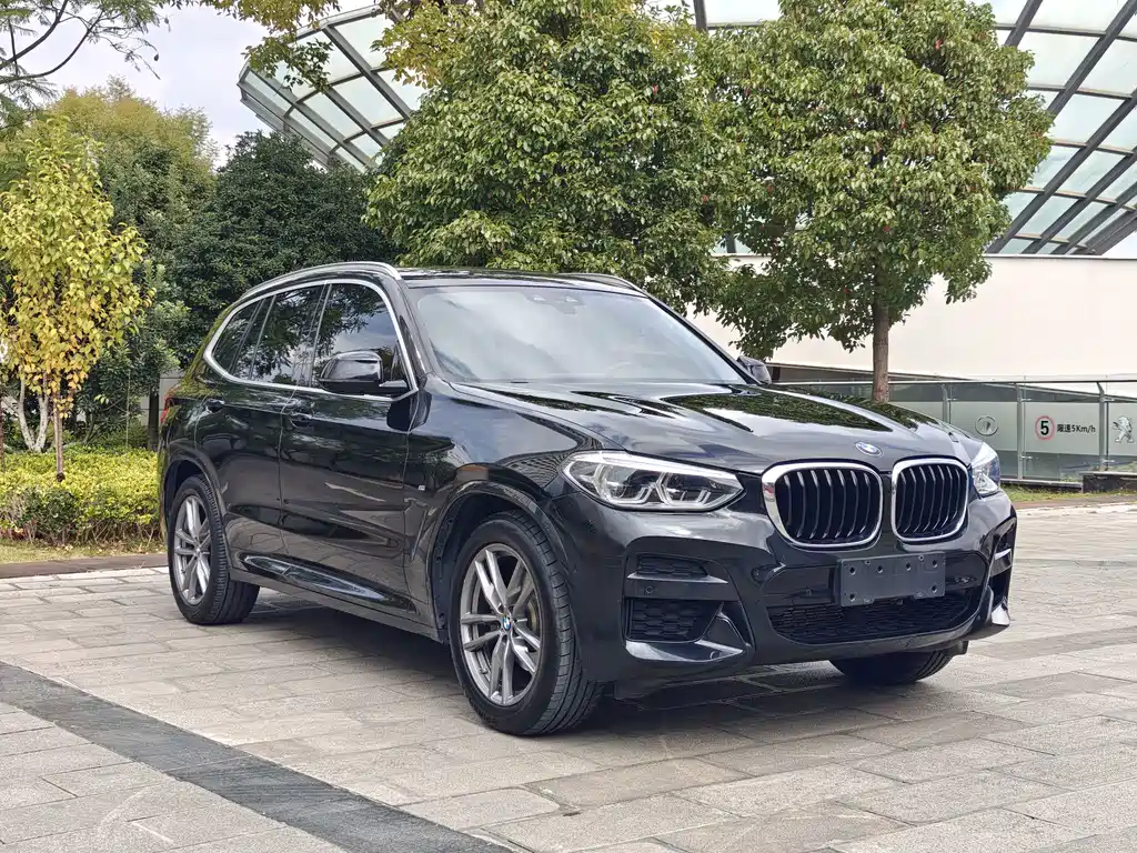 BMW X3 — миниатюра 3