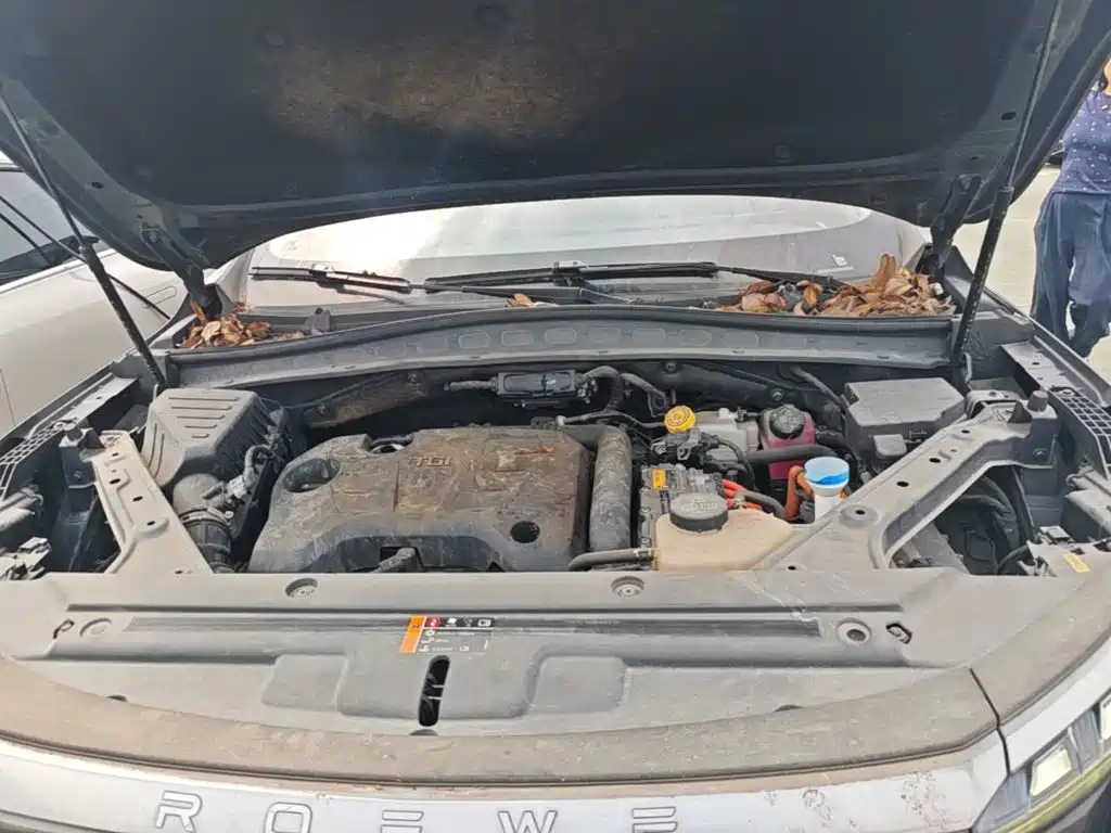 Roewe RX5 eMAX — миниатюра 20