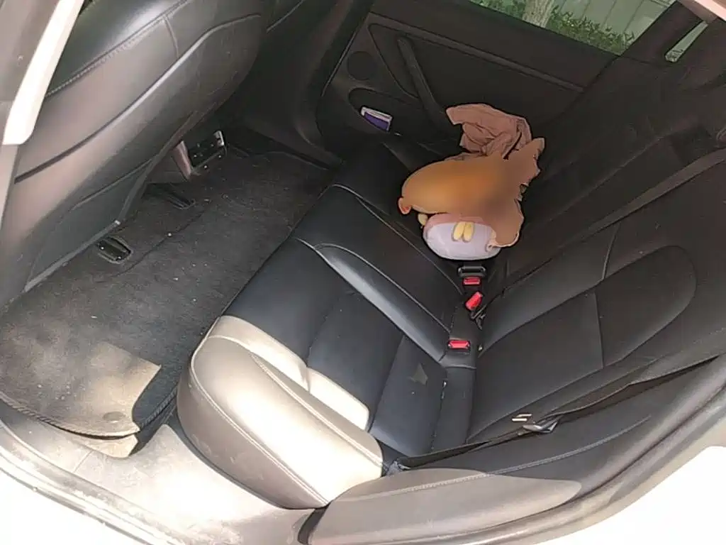 Tesla Model 3 — миниатюра 17