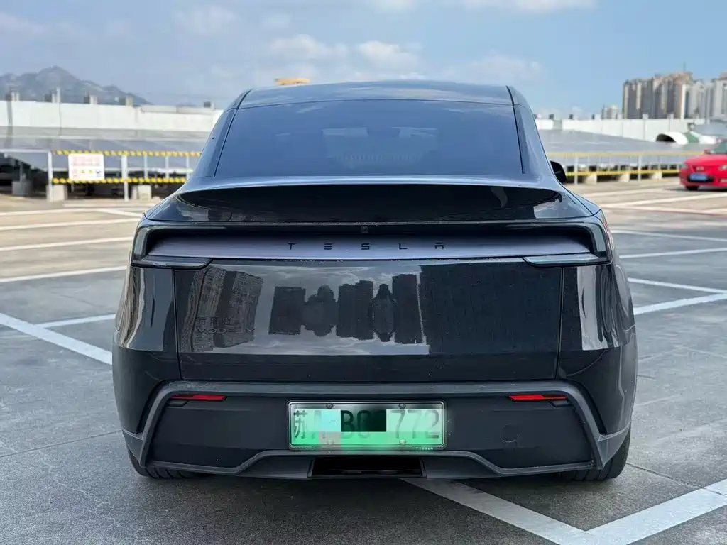 Tesla Model Y — миниатюра 7