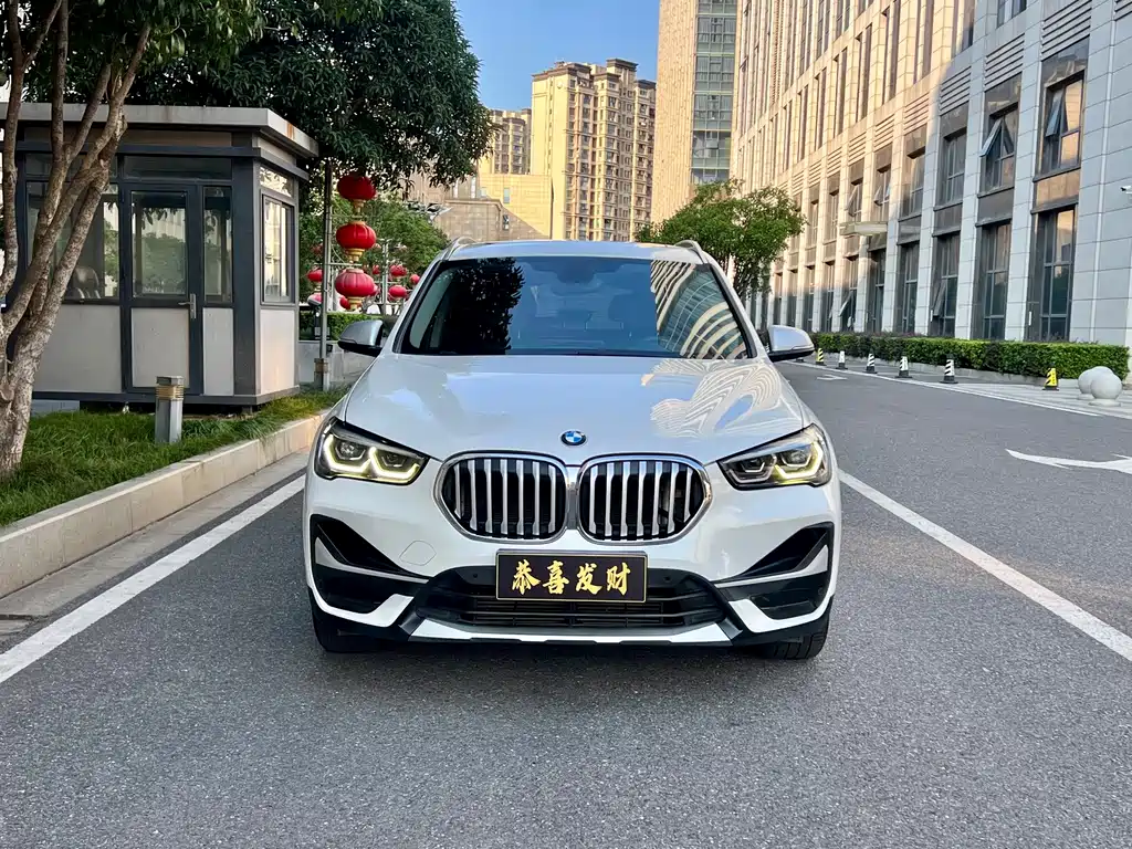 BMW X1 — миниатюра 2