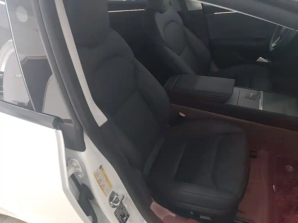Tesla Model 3 — миниатюра 25