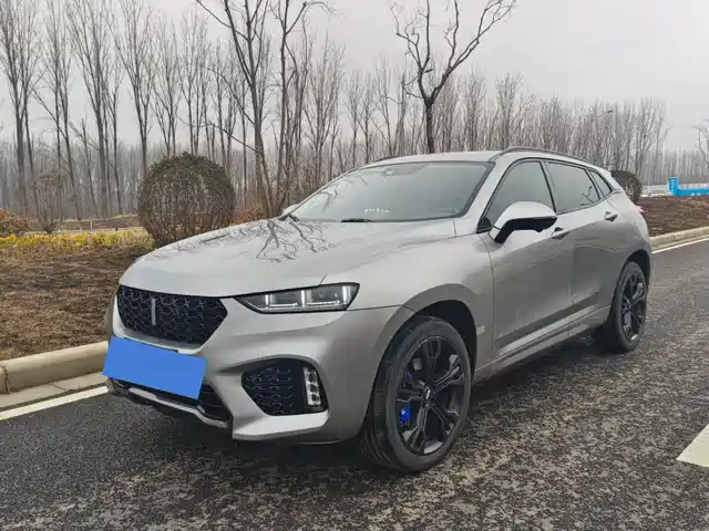 WEI PAI WEI BRAND VV7 2019