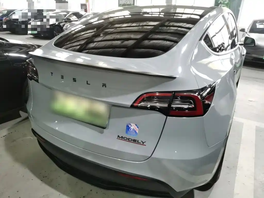 Tesla Model Y — миниатюра 7