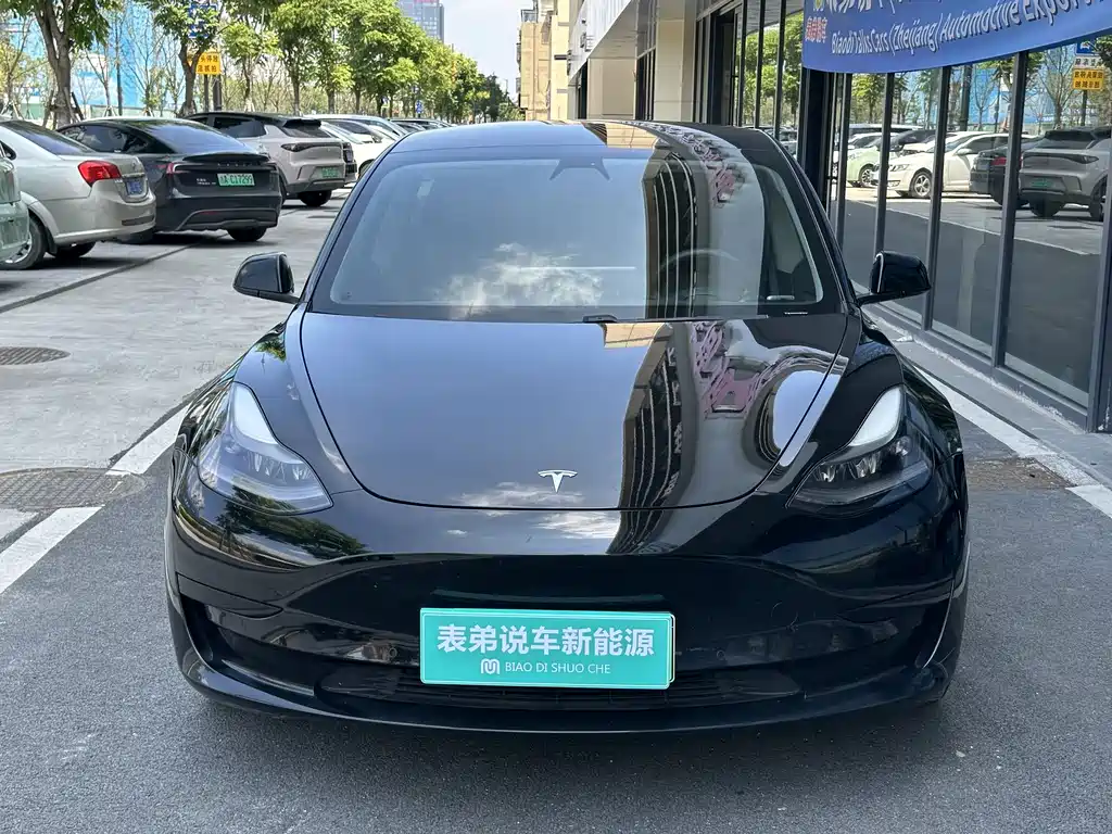 Tesla Model 3 — миниатюра 2