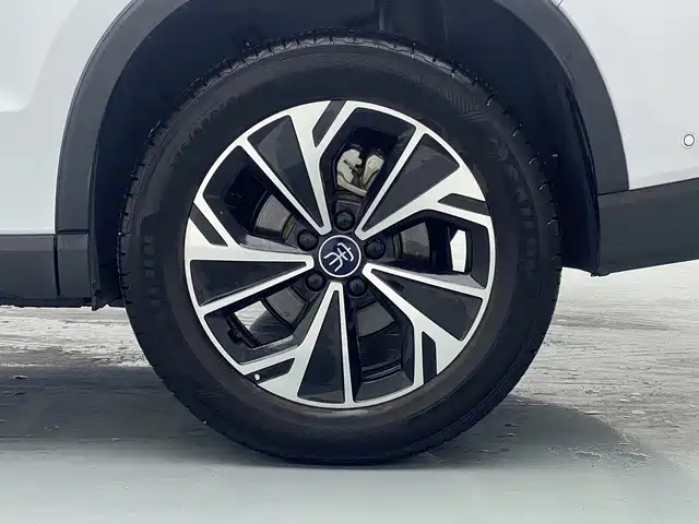BYD Pro New Energy — миниатюра 19
