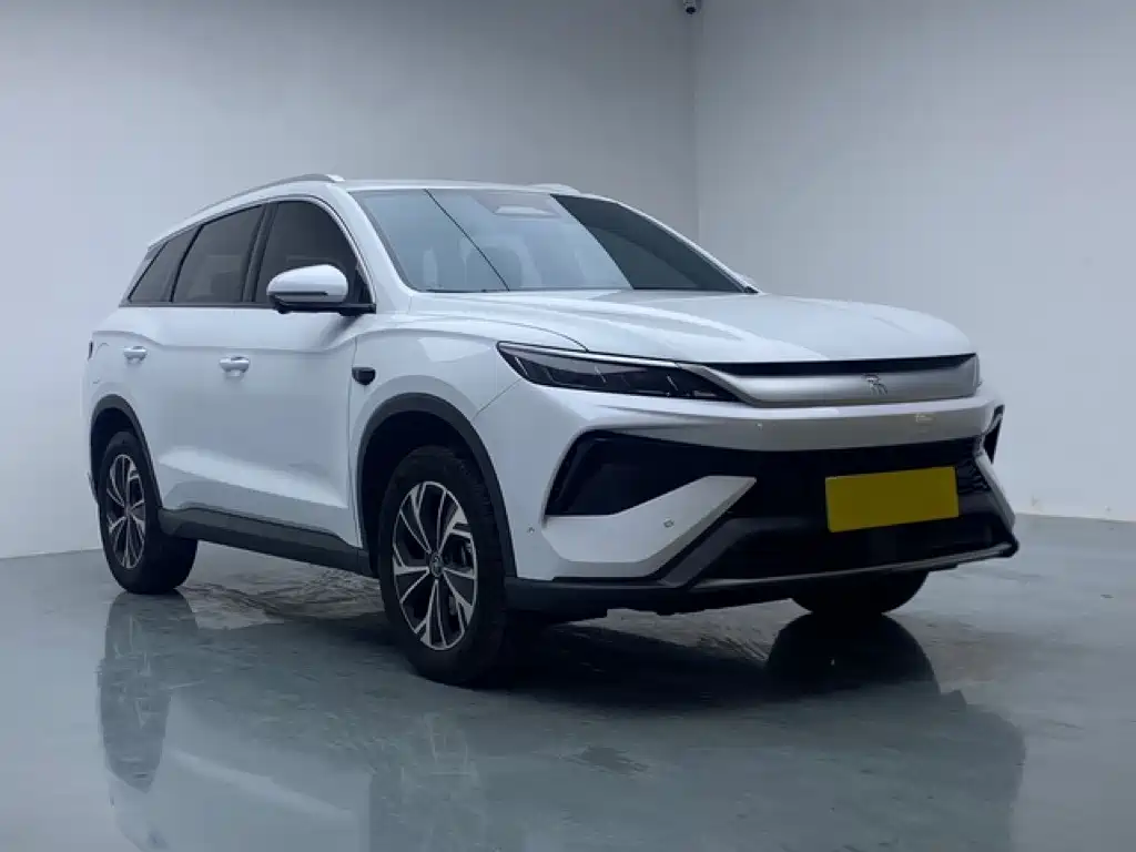 BYD Pro New Energy — миниатюра 3