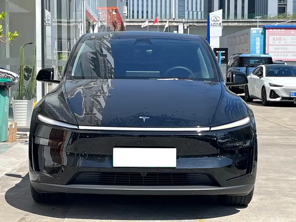 Tesla Model Y — миниатюра 2