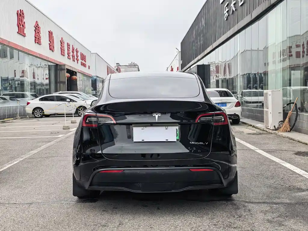 Tesla Model Y — миниатюра 11
