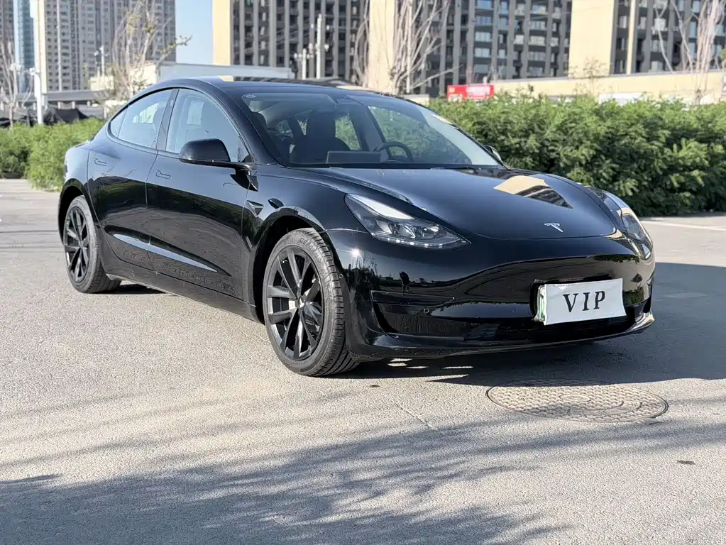 Tesla Model 3 — миниатюра 3
