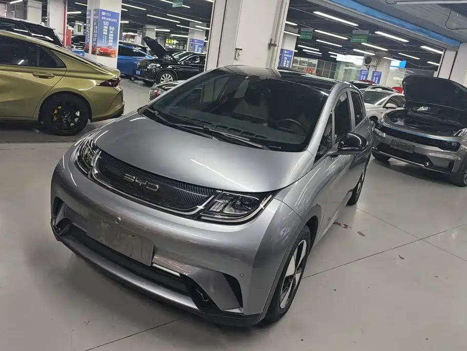 2023 BYD Dolphin - zdjęcie 1 z 16