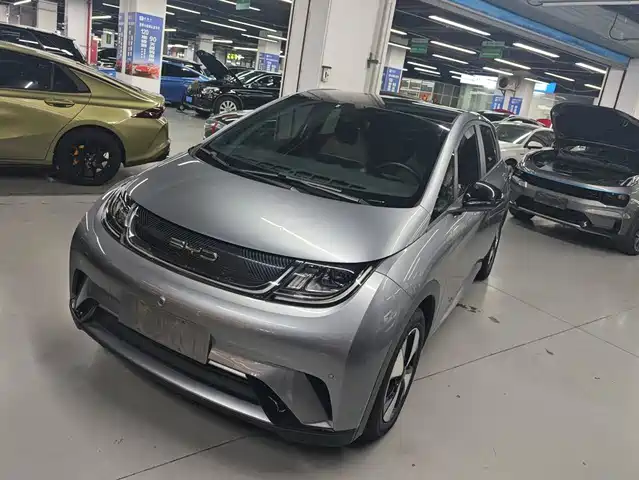 2023 BYD Dolphin