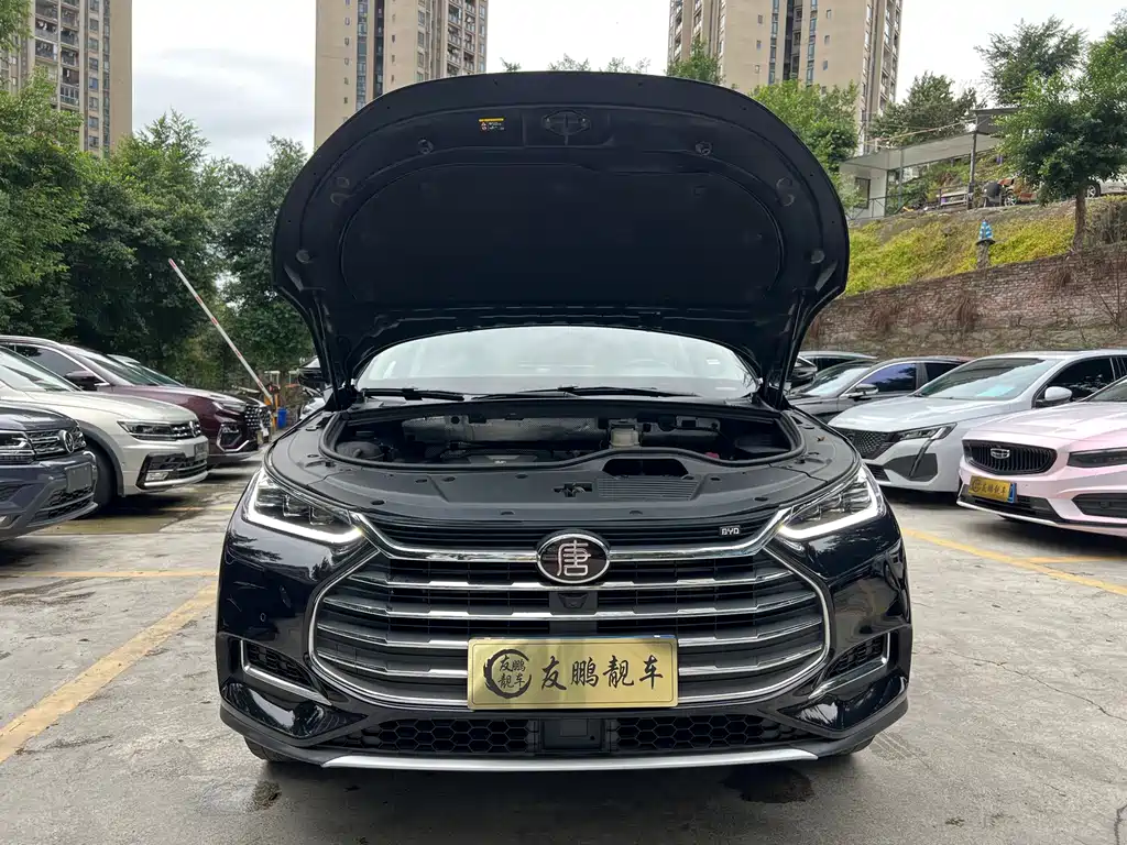 BYD Tang — миниатюра 4